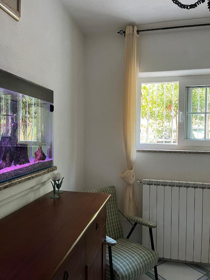 Casa Impagliazzo Bed and Breakfast Forio di Ischia Εξωτερικό φωτογραφία